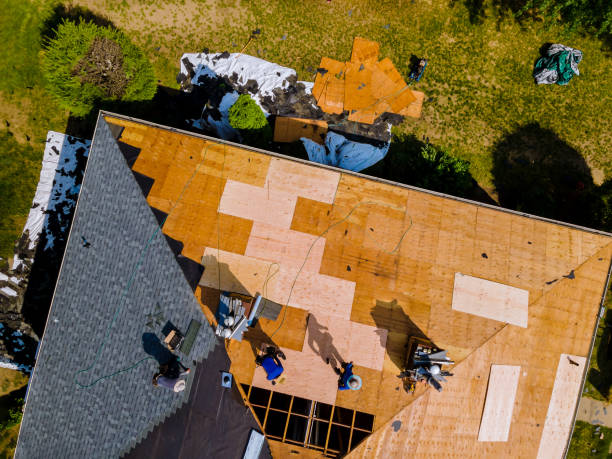 Quick and Trustworthy Emergency Roof Repair Services in Anchor Point, AK