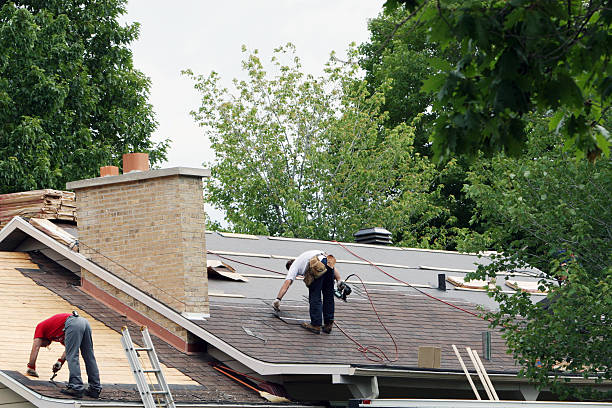 Best Local Roofing Companies  in Anchor Point, AK