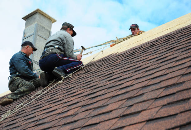 Best Roof Maintenance Services  in Anchor Point, AK