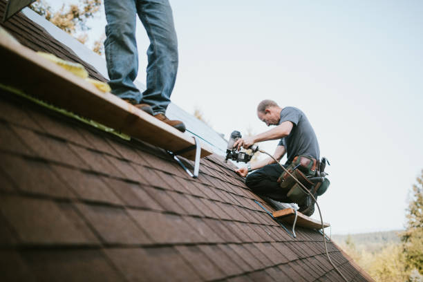 Best Roof Maintenance Services  in Anchor Point, AK